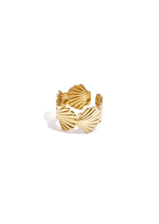 Chunky shell ring
